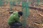 Einsatz-Schonung-Waldfriedhof-01-Tino-Foto-Jan-Zeißler-10x13s