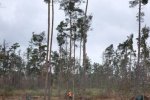 Einsatz-Schonung-Waldfriedhof-02-10x17s