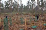 Einsatz-Schonung-Waldfriedhof-02a-10x15s