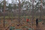 Einsatz-Schonung-Waldfriedhof-04-10x15
