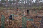 Einsatz-Schonung-Waldfriedhof-05a-10x15s
