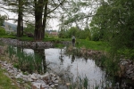 Pflegearbeiten am Schlosspark Amphibienteich 1