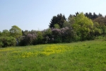 Pfadfinderweide 3