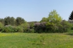 Pfadfinderweide E-Zaun 05