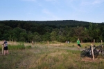 Kirschgarten 10