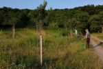 Kirschgarten 03