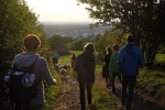 Schafe im Wald 12