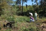 Einsatz-Bickenbacher-Düne-10-10x15s