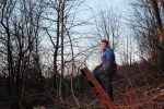 Silas auf der Himmelsleiter 1