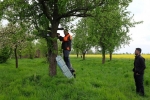 Dreieckswiese Pfungstadt 2