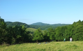 Schlafplatz der Hermeline
