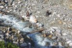 02-Weg-zum-Vermuntgletscher-01-10x15s