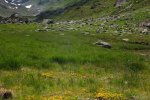 11-Aufstieg-zur-Klostertaler-Umwelthütte-08-10x15s