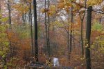 Wassersteinbruch-04-10x14s
