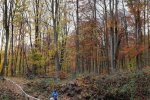 Wassersteinbruch-25-10x14s