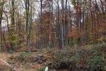Wassersteinbruch-29-10x16s