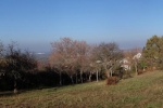 Dollacker-Weide 04
