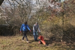 Nachmahd-Böckchenweide-07