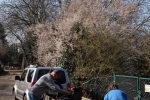 Nachmahd-Böckchenweide-11