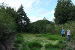 Froschtümpel am Beerbach 2
