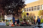 Pflanzenflohmarkt Salem 2 10x15s