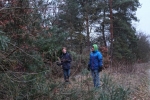 Erneuerung Naturzaun Pfadfinderweide 01