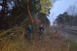 Erneuerung Naturzaun Pfadfinderweide 03