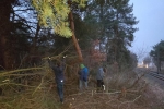 Erneuerung Naturzaun Pfadfinderweide 04