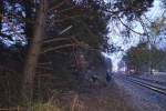 Erneuerung Naturzaun Pfadfinderweide 08