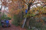 Nisthilfen-am-Waldweiher-Seeheim-34-10x16s