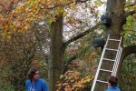 Nisthilfen-am-Waldweiher-Seeheim-46-10x15s
