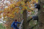 Nisthilfen-am-Waldweiher-Seeheim-52-10x15s