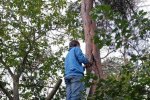 Nisthilfen-am-Waldweiher-Seeheim-59-10x16s