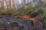 Wassersteinbruch-Abfischen-Ecki-01-10x16s