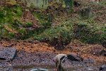 Wassersteinbruch-Abpumpen-Michael-05-10x13s