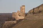 Rheinfahrt 01