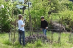 Wühlmausgarten 03