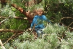 Wühlmausgarten 08