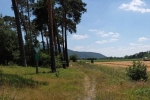 Bickenbacher Düne 3
