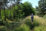 Waldrand