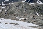04-Gratweg-zum-Furkapass-13-Foto-Silas-10x13s