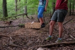 Pilze finden 1
