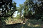 Einsatz-Eichhornwiese-08-10x16s