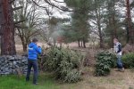Christbaumaktion-Pfadfinderweide-02-10x16s