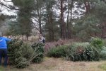 Christbaumaktion-Pfadfinderweide-03-10x26s