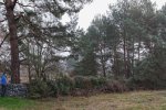 Christbaumaktion-Pfadfinderweide-10-10x24s