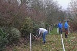 Christbaumaktion-Weg-Jäckel-Weide-01-10x16s