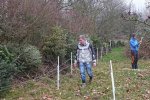 Christbaumaktion-Weg-Jäckel-Weide-03-10x17s
