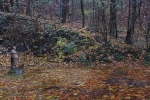 Lindwurmteich 2