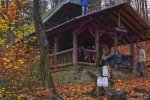 Wühlmaushotel 1